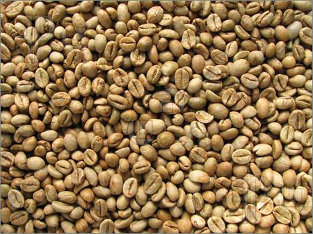 Green Robusta Coffee Beans Manufacturer Supplier Wholesale Exporter Importer Buyer Trader Retailer in Kalpetta North Kerala India